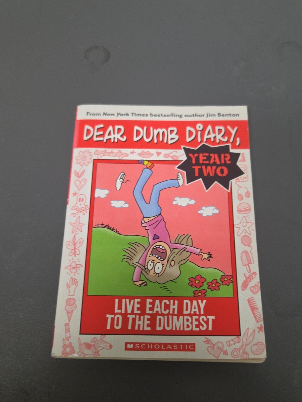 Scholastic Dear Dumb Diary Year Two - Red & Pink Cover Art